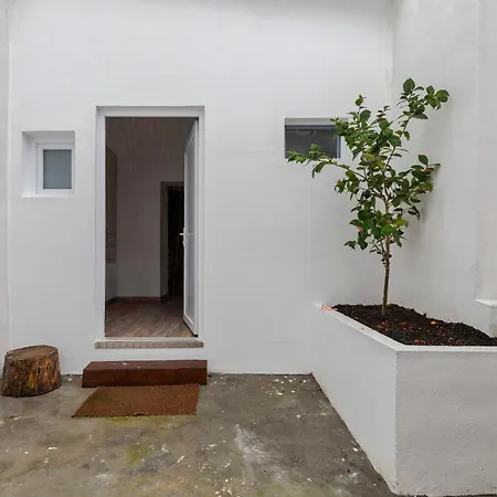 Apartment Oasis Ii